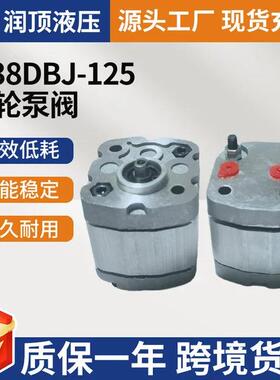 CBK-R高压静音0.38DBJ-125齿轮泵阀液压齿轮泵小型高压油泵