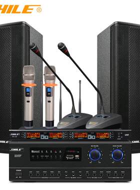 狮乐AV108+BX404+SH10中小型专业会议室音箱组合培训会议设备