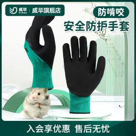 宠物用品仓鼠防咬手套鹦鹉兔子龙猫豚鼠天竺鼠荷兰猪防咬手套1双