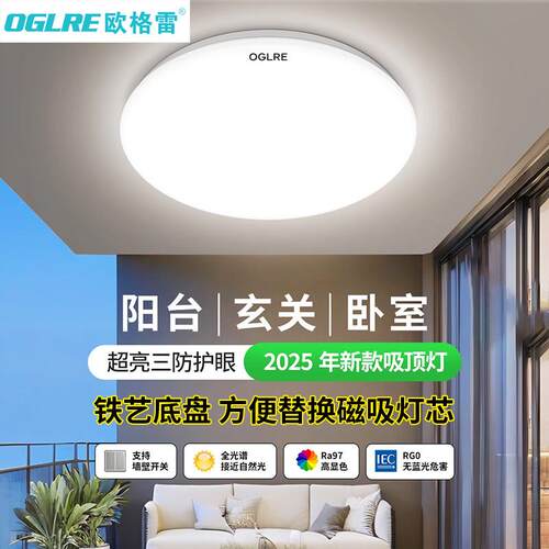 欧格雷LED吸顶灯可换磁吸灯芯12W120W客厅卧室19cm圆形厨卫走道灯