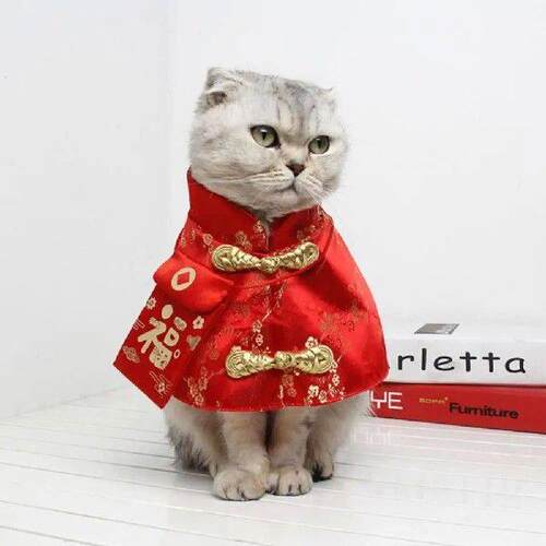 Red Envelope Unique Adorable Festive In-demand Costume