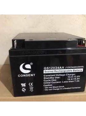 CONSENT光盛蓄电池GS-12V7A9A12A17A20A24A38A65A100AH消防/UPS