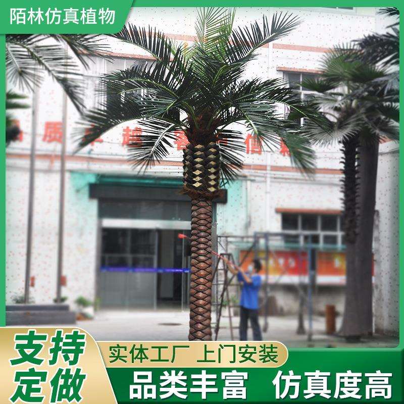 仿真海枣树大型棕榈树假树海藻树椰子树景观室内外装饰仿真大王椰