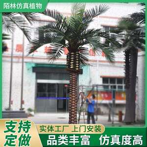 仿真海枣树大型棕榈树假树海藻树椰子树景观室内外装饰仿真大王椰