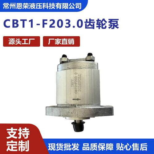 CBT1-F203CBT系列液压齿轮泵小型液压动力泵液压系统通用油泵