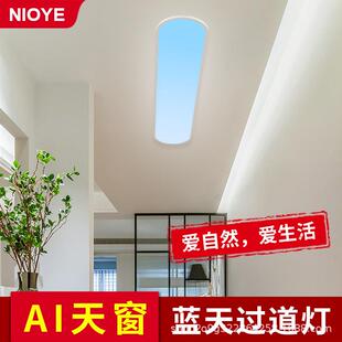 阳青晴空NKV灯超薄长条顶灯家用台灯衣帽间玄关过灯走吸廊灯道蓝
