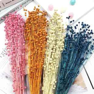 保存花DIY教师节材料包丰富豆金合欢干花麻玻璃盖浮动浮动悬挂配