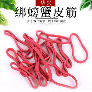 3厂家促销 橡皮筋海鲜螃蟹捆绑红色皮筋38 橡胶制品批发