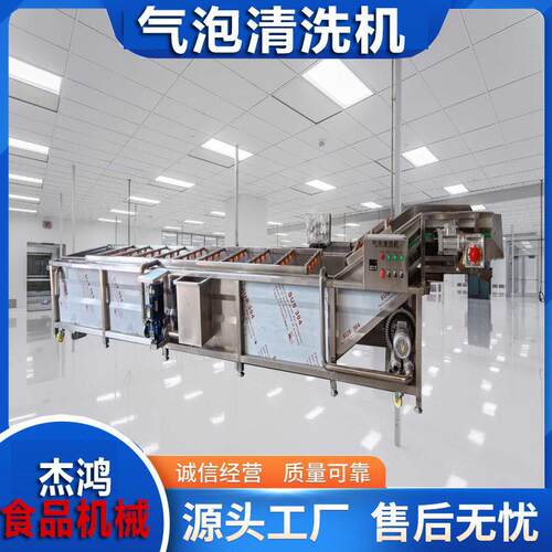 商用多功能气泡清洗机规格果蔬不锈钢板水果链条压喷淋冲洗机