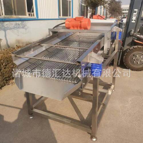 工业物料筛分机震动式粮食筛选机直线筛工业筛小龙虾振动筛选机