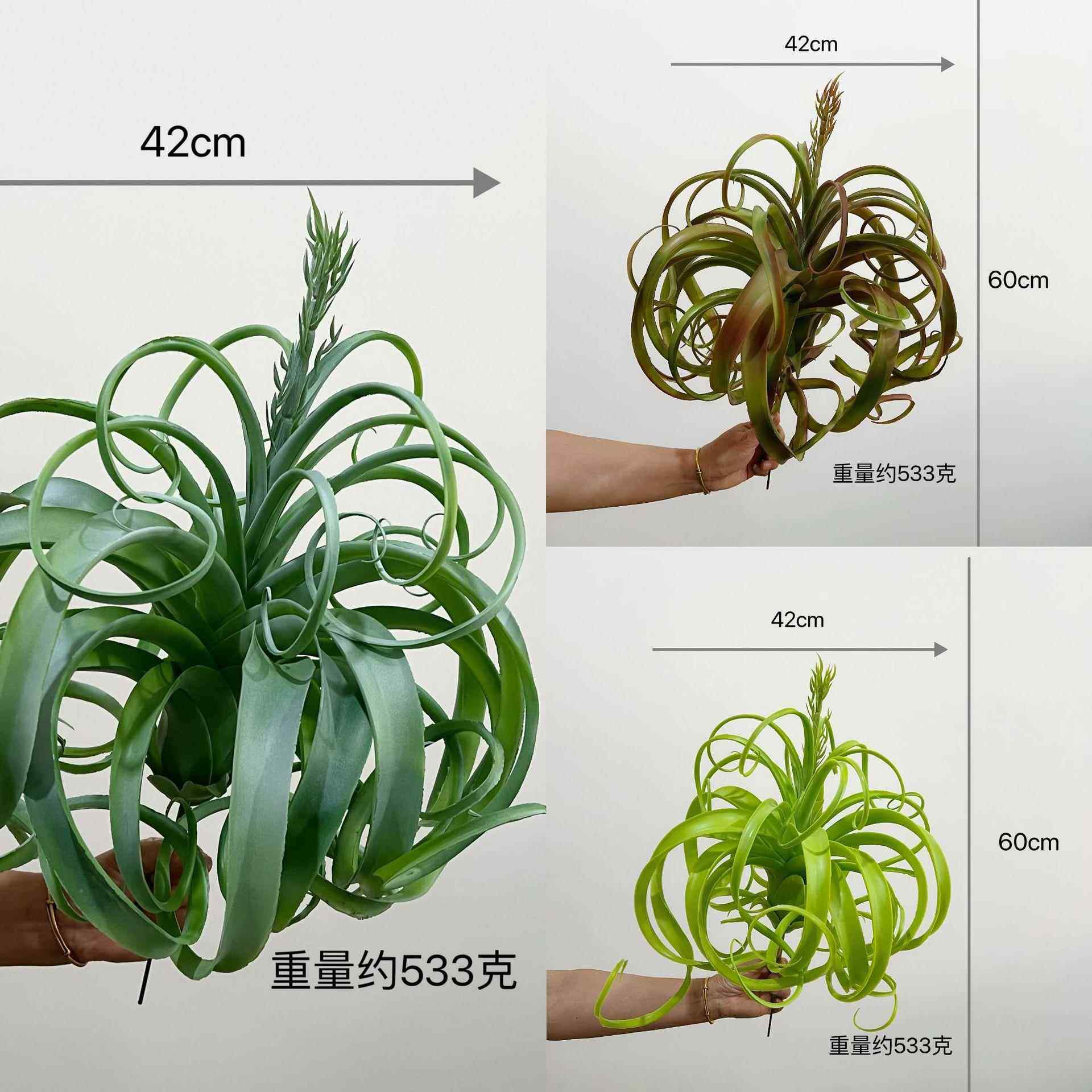 含阳 仿真假沙漠多肉植物特大霸王空气草 凤梨 仿真植物 装饰