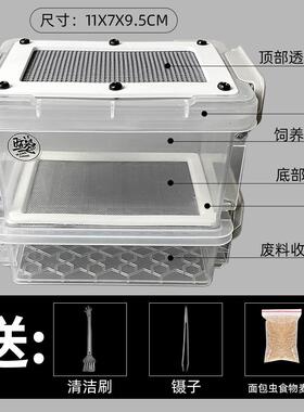 面包虫滤屎饲养箱防臭防潮杜比亚九龙虫蚕宝宝饲养盒筛选粪便养殖