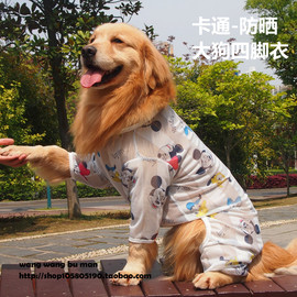 大狗狗服装休闲金毛轻薄防晒衣服四脚大型犬边牧萨摩夏季夏装薄款