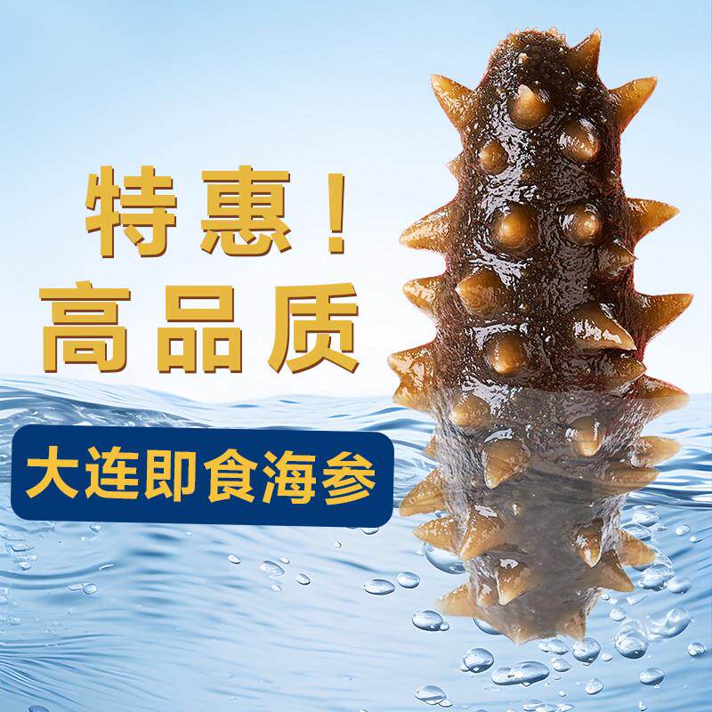 大连即食海参500g*5袋 滋补佳品 鲜食深海底播新鲜正宗辽刺参开袋