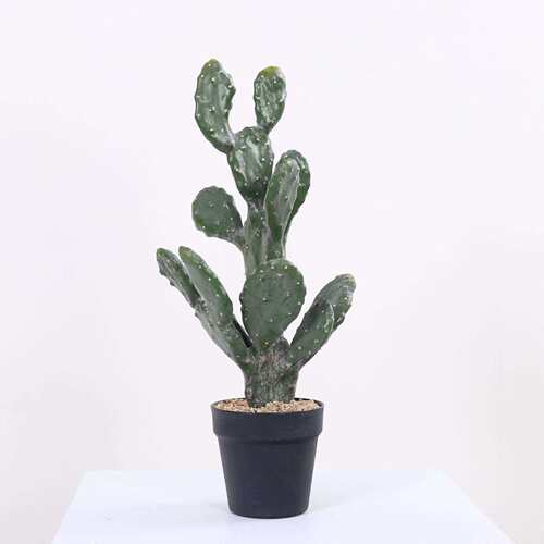北欧风仿真莱昂仙人掌仙人柱沙漠植物盆栽摆件橱窗落地绿植盆景