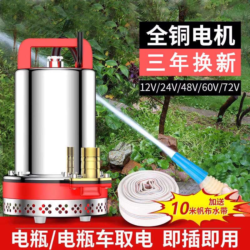 电动电瓶车专用抽水泵小型家用直流潜水泵48V60V一72V浇菜抽水机