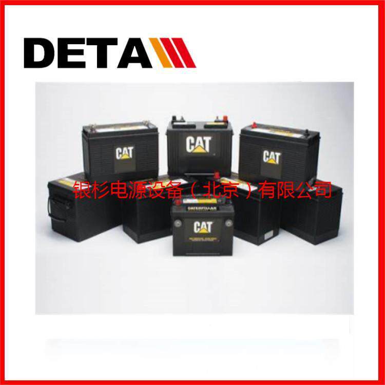CAT蓄电池卡特9X-3404卡特彼勒车用12V100AH启动电源