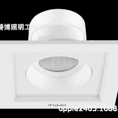 LED平板灯 格栅灯单头双头灵众系列灵众平板灯开孔 100MM*200MM