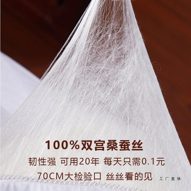 桐乡纯手工蚕丝芯被双宫桑蚕丝被被单HZZ人双被蝉丝被春秋冬人被