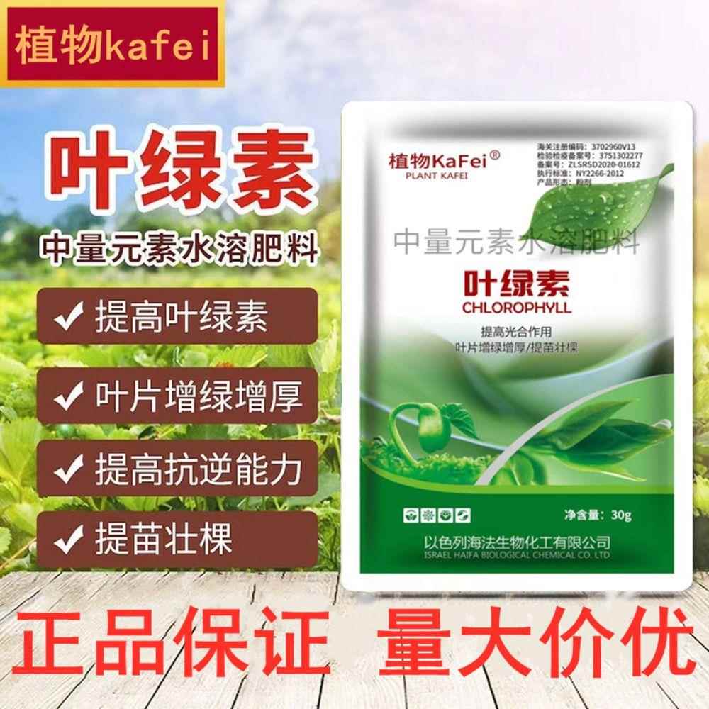叶绿素氨基酸叶面肥蔬菜花卉一喷绿中量元素水溶肥料提高光合作用