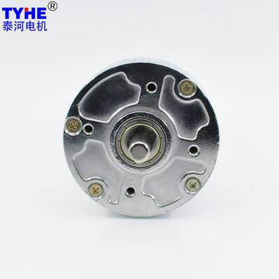 TJZ60RG12V4V低直流减2速TJZ60RG电机高扭矩大功率转速按摩椅555