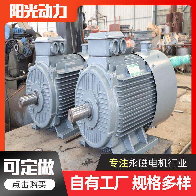 30W稀土永磁低速发电机10w低速无刷直驱大功率永磁发电机