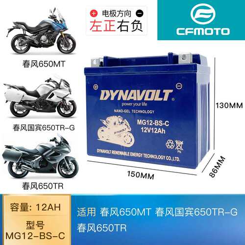 春风原厂 650MT/国宾650TR-G/650TR 机车电瓶12V猛狮蓄电池