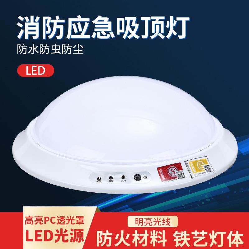 安全出口指示灯 消防应急吸顶灯LED蓄电池带线