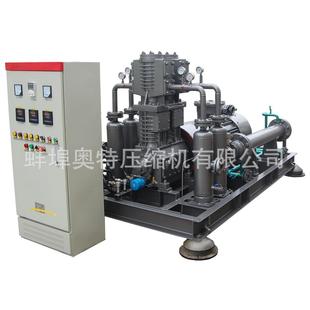 4低噪2019408音Z型工业活塞式 100 0.4 二氧化碳压缩机C小O2
