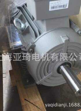 1LE0001-1DB23-3AA4电动机11KW