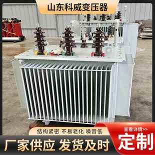 50KVA 变压器三相10 80KVA 160KVA油浸式 0.4 100KVA S13