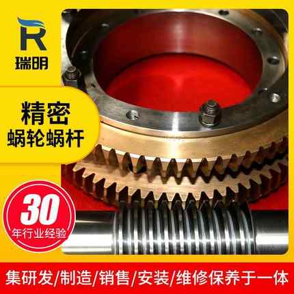 非标扇形精密型双导程蜗轮蜗杆A2501个头航空航天用轮杆