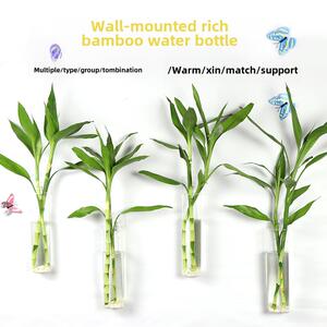 墙上壁挂式富贵竹花瓶玻璃透明插花水养现代简约客厅家用鲜花花瓶
