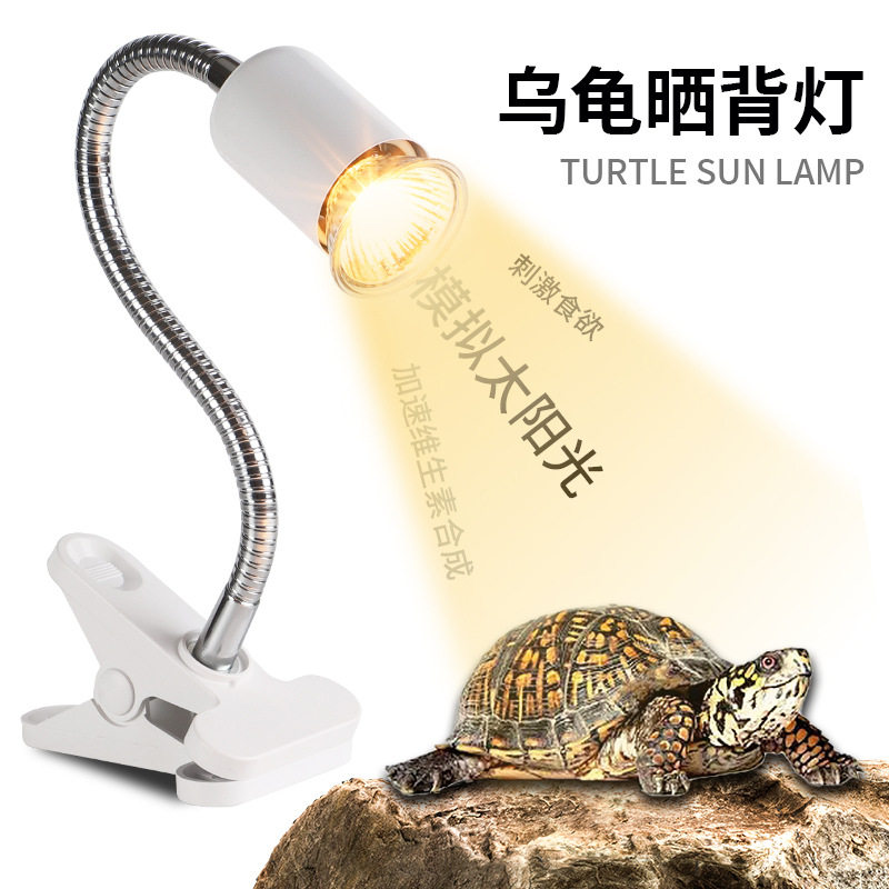 乌龟乌龟取暖宠物保温照明器材