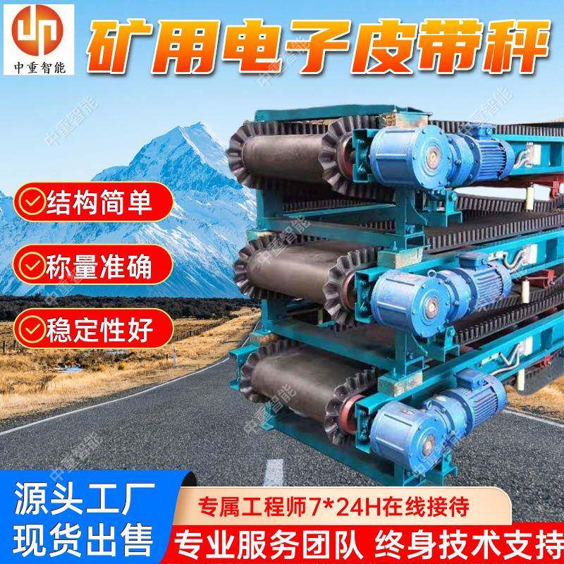 矿用电子皮带秤 现货出售ICS-UT电子秤给料机 矿用称重皮带秤