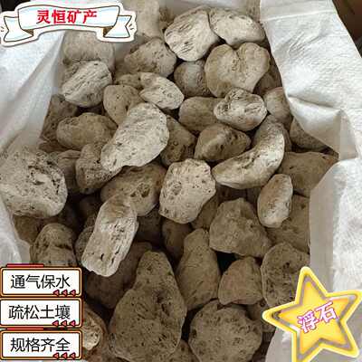 厂家供应多肉铺面轻石颗粒园艺造景浮石块保水透气疏松土壤轻石