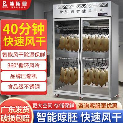 冰斯曼智能晾鸭柜商用烧鹅烧腊烘干机凉烤鸭风干柜乳鸽风干晾胚柜