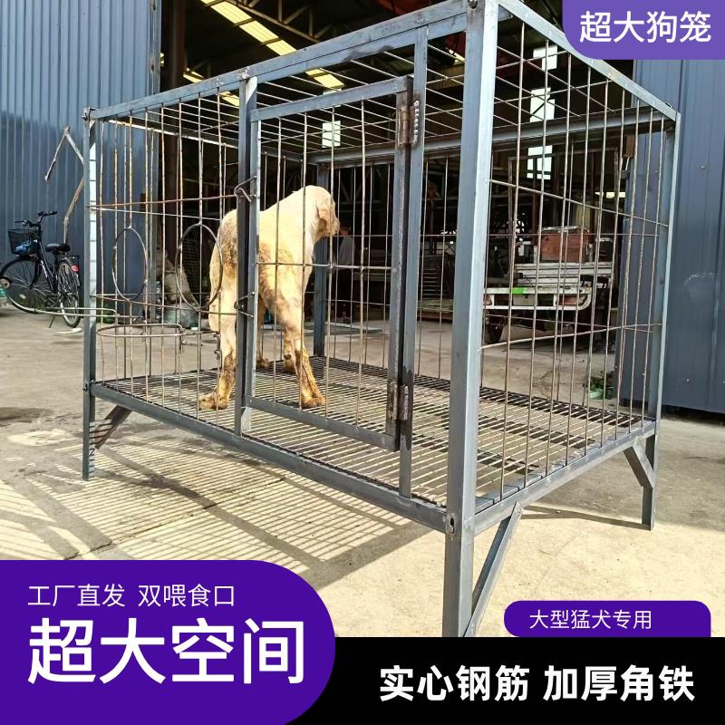 狗笼中大型犬实心钢筋金毛马犬防撞咬狗笼狗场养殖基地特价包邮