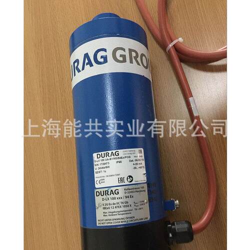 火焰监测器检测器D-LX 100 UA-B1/M/94EX/PCG控制器