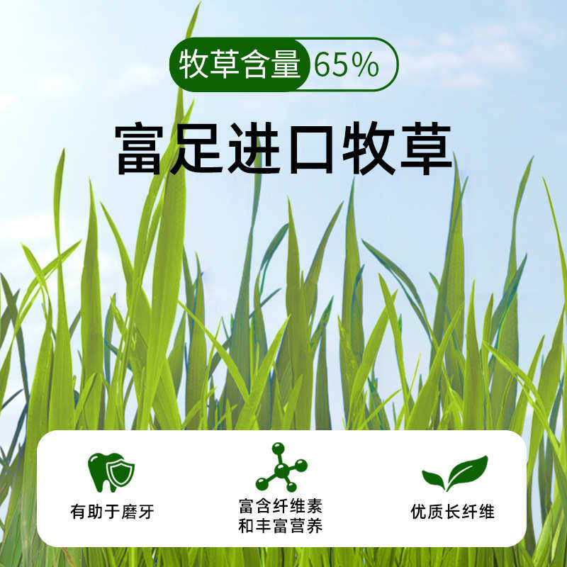 瑞贝斯专业活力VC豚鼠主粮荷兰猪豚鼠粮食营养粮专用1.5kg美毛用