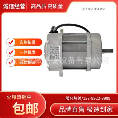利雅路燃烧机BS2BS3BS4RS5电机风机马达90W150W250W/220V
