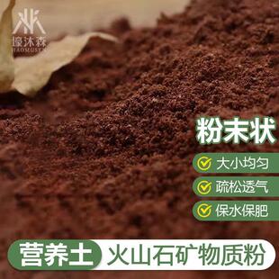 天然火山石鱼缸专用颗粒养花乌龟专用火山石溪流石鱼缸专用火山岩