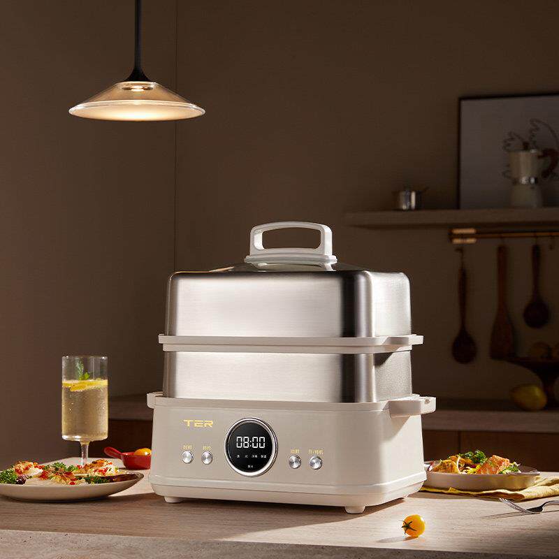 TER不锈钢电蒸锅多功能家用大容量蒸煮一体锅多层蒸箱小型蒸汽锅