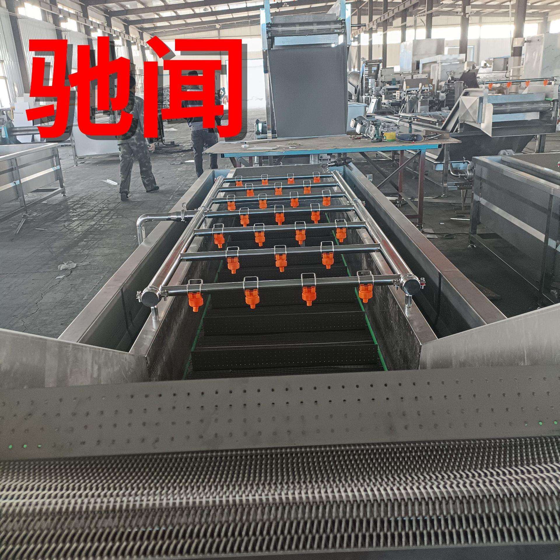 驰闻果蔬气泡清洗机杨梅蓝莓清洗设备蔬菜喷淋式清洗流水线