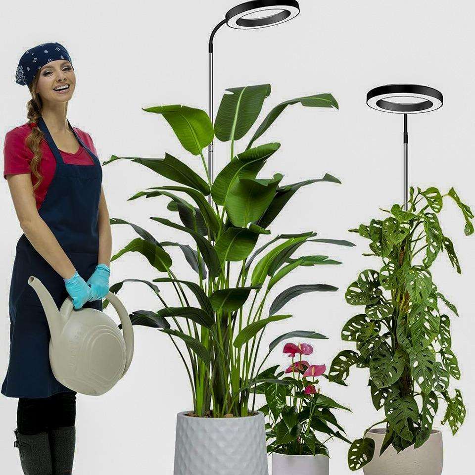 多肉补光灯盆栽植物灯家庭植物种植补光灯 LED全光谱补光可调光