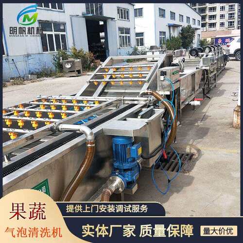 菜西红柿辣椒洗机 果蔬清气泡清洗WNV 机果蔬清洗加工流水线鼓泡