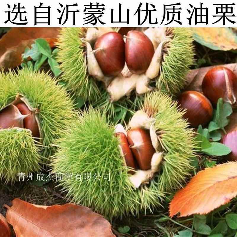 阳栗油栗仁500g特产小吃网红孕妇零食独立包坚果仁即食品板栗子熟
