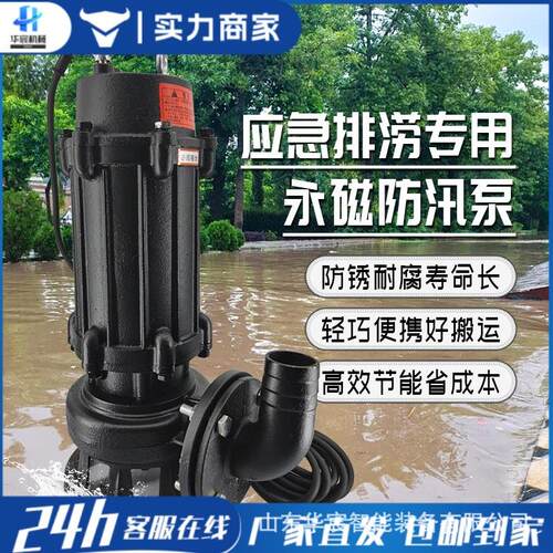 防洪泵变频永磁潜水泵大流量便携式高扬程不锈钢轴流泵应急抢险泵