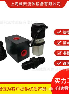 超高压手动液压LRI泵 手动打压泵25M0MPA 300PA 180MPA 07MPA