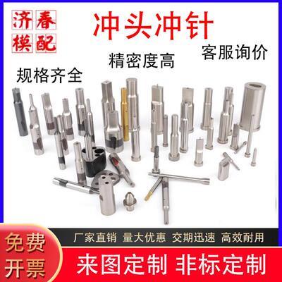 五金汽车模具定做冲针SPAL SPT 凸模子母冲冲头T冲水滴冲模具冲针